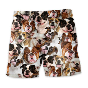 American Bulldog 1 Full Face Hawaiian Shirt & Shorts