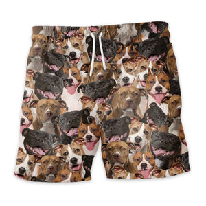 American Staffordshire Terrier Full Face Hawaiian Shirt & Shorts