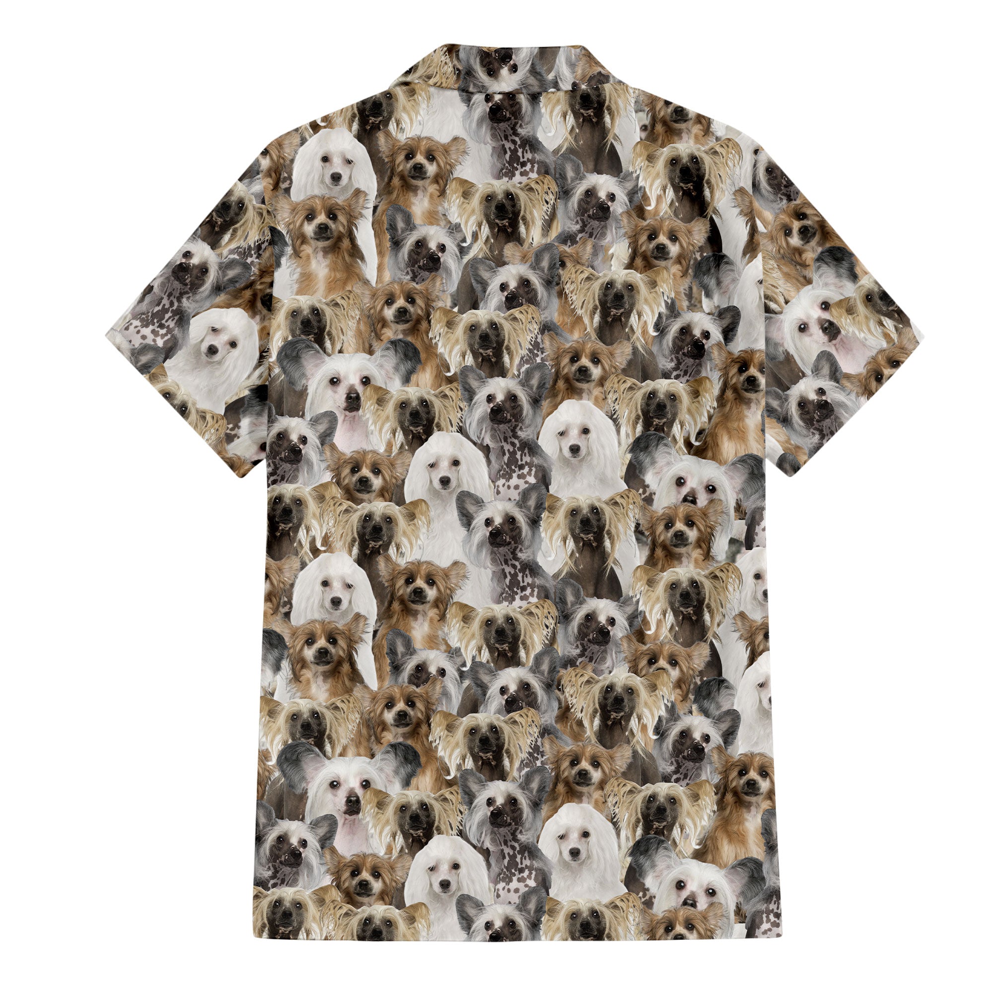Chinese Crested Dog Full Face Hawaiian Shirt & Shorts