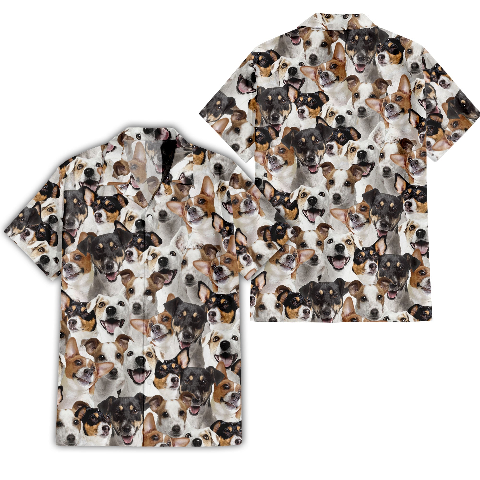 Jack Russell Terrier Full Face Hawaiian Shirt & Shorts