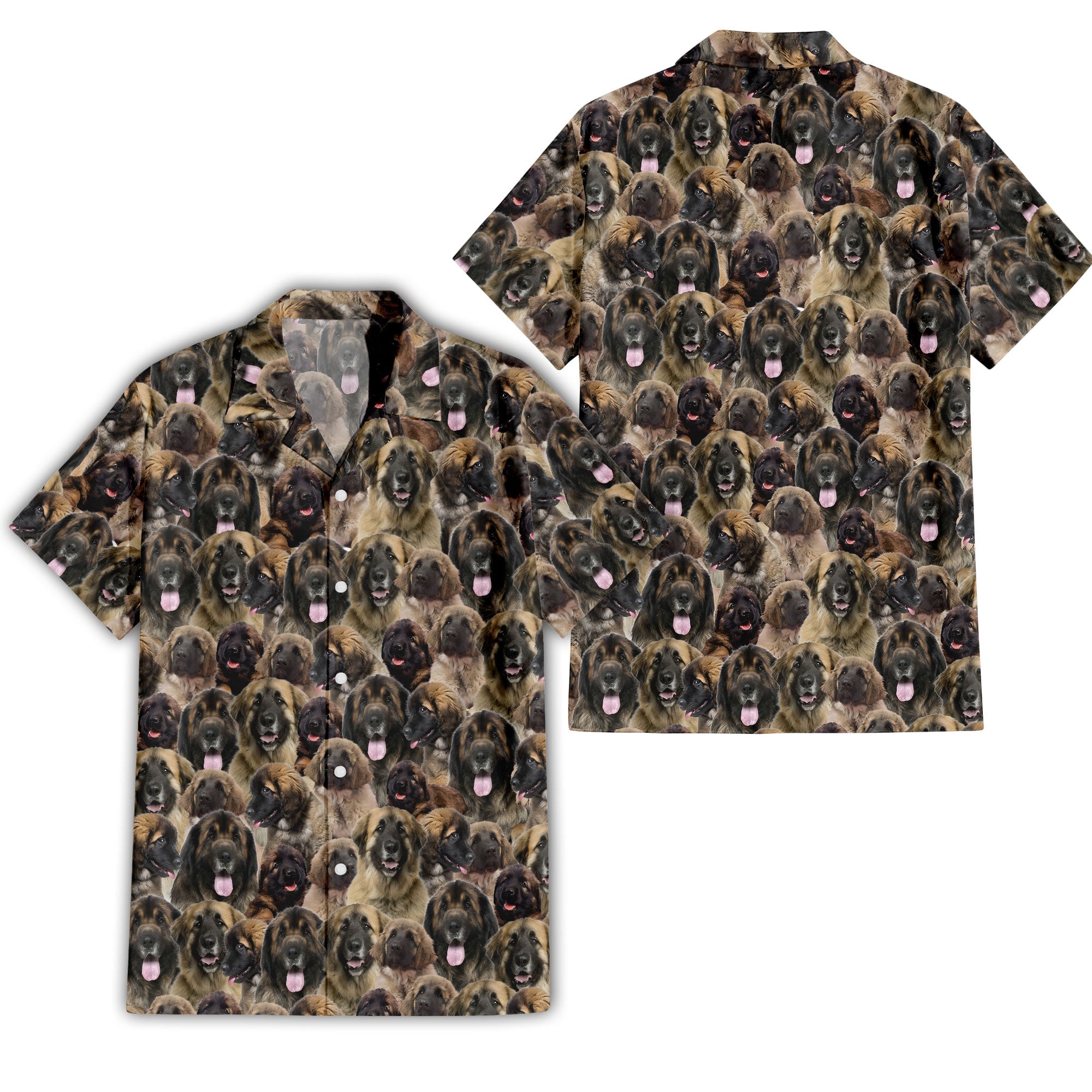 Leonberger Full Face Hawaiian Shirt & Shorts