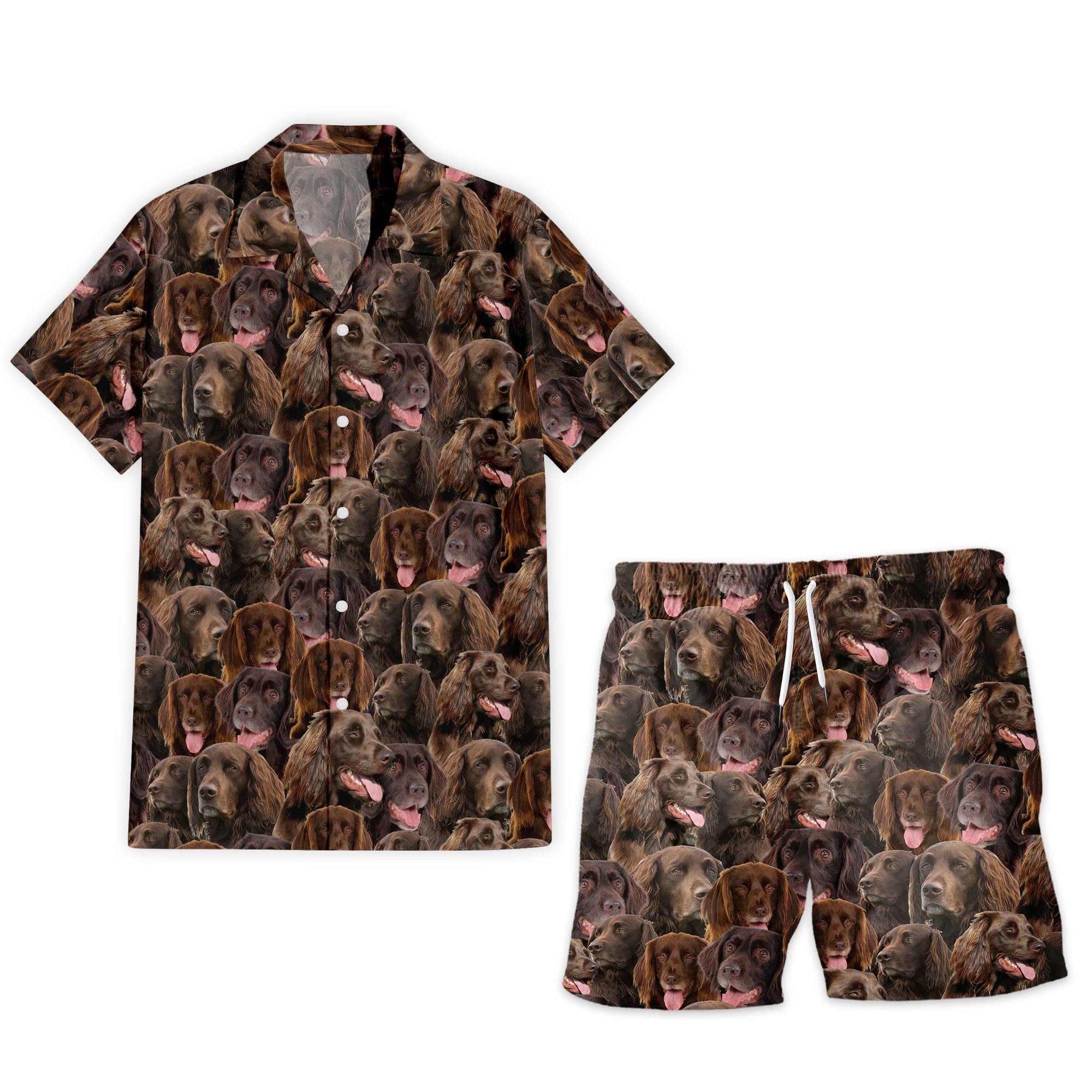 German Longhaired Pointer Full Face Hawaiian Shirt & Shorts