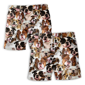 American Bulldog 1 Full Face Hawaiian Shirt & Shorts