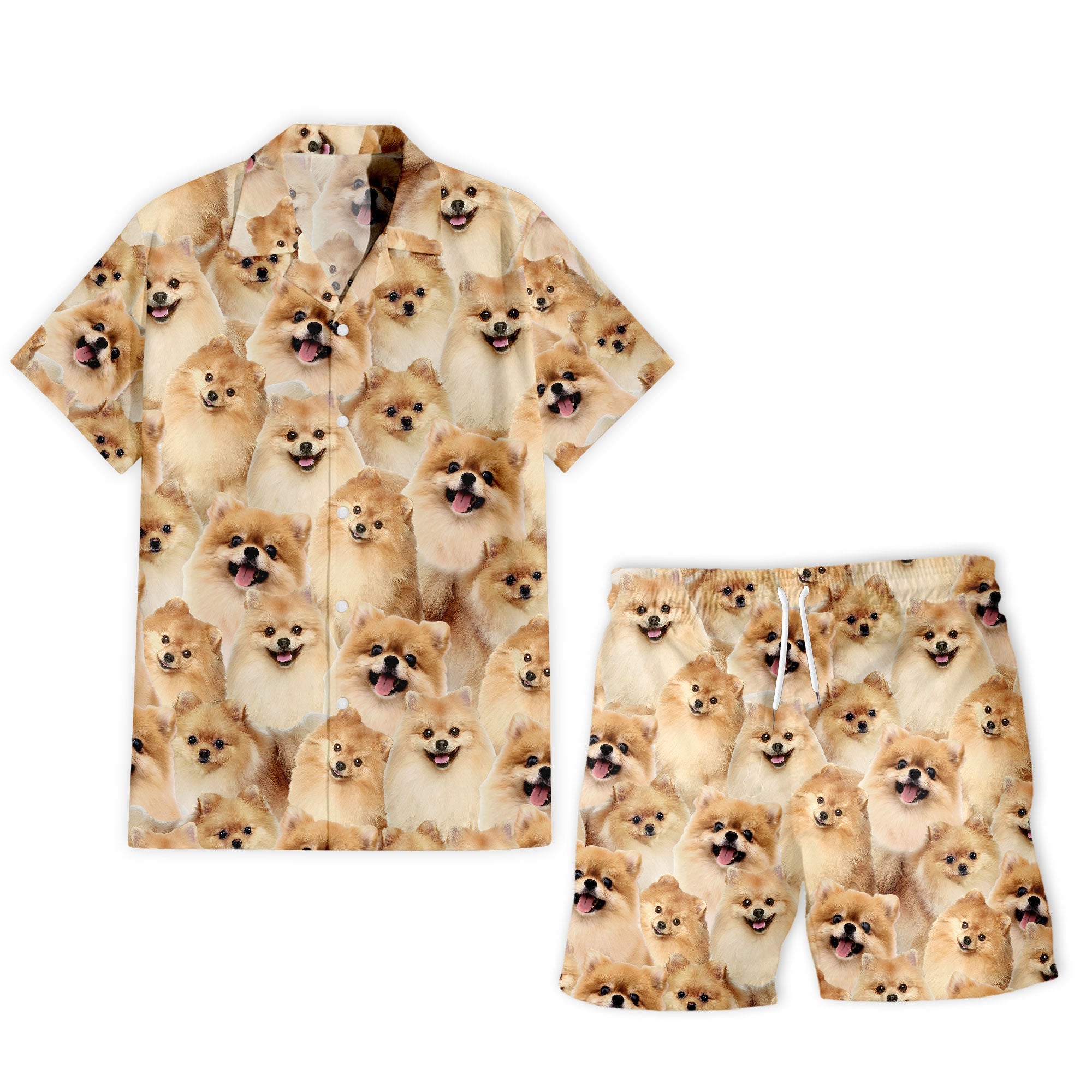Pomeranian Full Face Hawaiian Shirt & Shorts