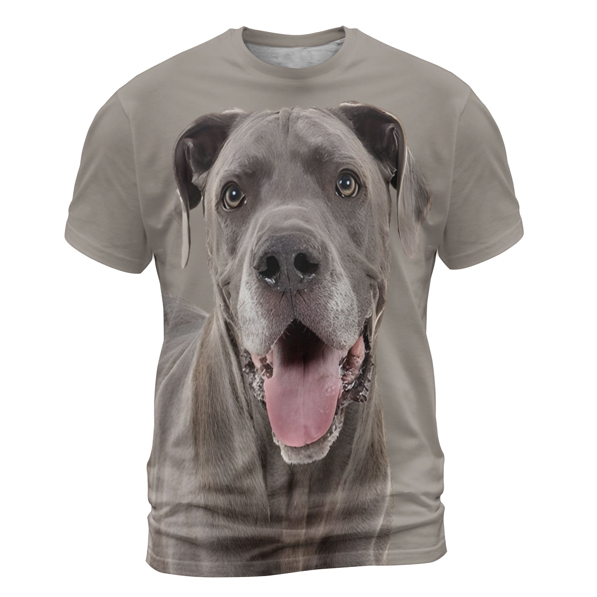 Great Dane 3 - 3D Graphic T-Shirt