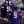 Minnesota Vikings Pullover Custom Hoodie - All Stitched