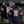 Chicago Bears Pullover Custom Hoodie - All Stitched