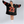 San Francisco Football Team Unisex Blanket Hoodie