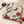 Tsubaki — Winter Camellia Aloha Shirt