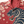 The Tora Shirt — Japanese Tiger Woodblock Aloha Shirt