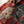 Chrisraw Gotora Aloha Shirt — Five Tigers Japanese Ink Print