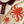 Chrisraw Beni Tako Polo Shirt — Red Octopus Gouache Print