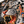 Chrisraw Flame cloud white tiger hoodie — print close-up