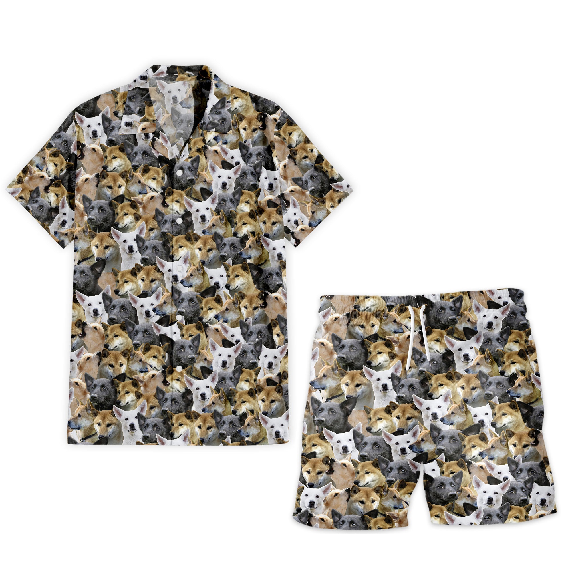 Canaan Dog Full Face Hawaiian Shirt & Shorts