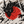 Chrisraw Hinomaru Hoodie — Ink Dragon Red Sun Samurai Print