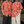 Chrisraw Kyuban Aloha Shirt — Japanese Octopus Tentacle Woodblock Print