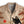 Chrisraw Sunset Cat Hawaiian Shirt