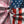 Chrisraw America 250 Pink Crane Garden Hawaiian Shirt