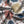 Chrisraw America 250 Seamless Festive Fusion Hawaiian Shirt