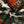 Chrisraw Cranes of Edo Hawaiian Shirt