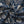 Chrisraw Marine Mystery Hawaiian Shirt