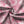 Chrisraw Crane Garden Hawaiian Shirt