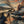 Chrisraw Samurai Gazing Into The Distance Shirt Hawaiian Shirt
