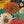 Chrisraw Kid's Japanese Colorful Chrysanthemums Ukiyo-e Short Sleeves Shirt