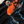 Chrisraw Yorugoi Hoodie — Night Koi and Glowing Water Print